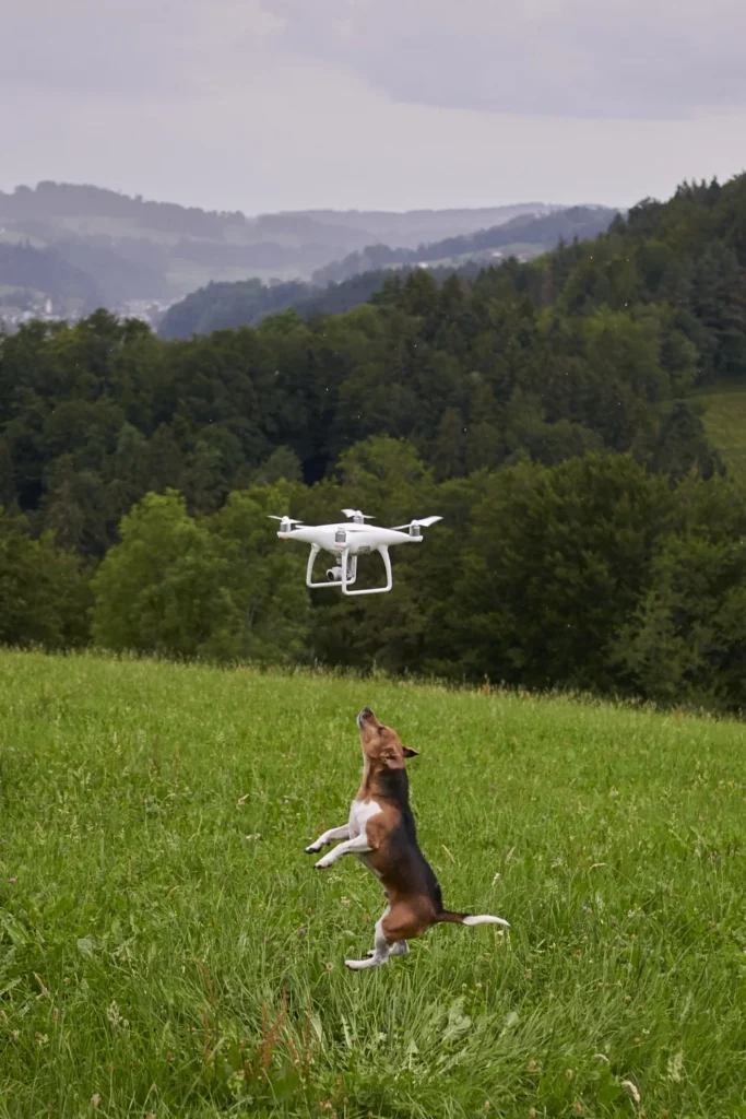 Drone photography services capturing an aerial shot of a property